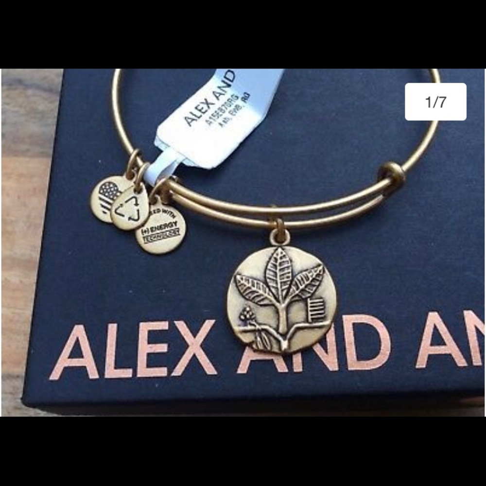 Alex & ani bracelet